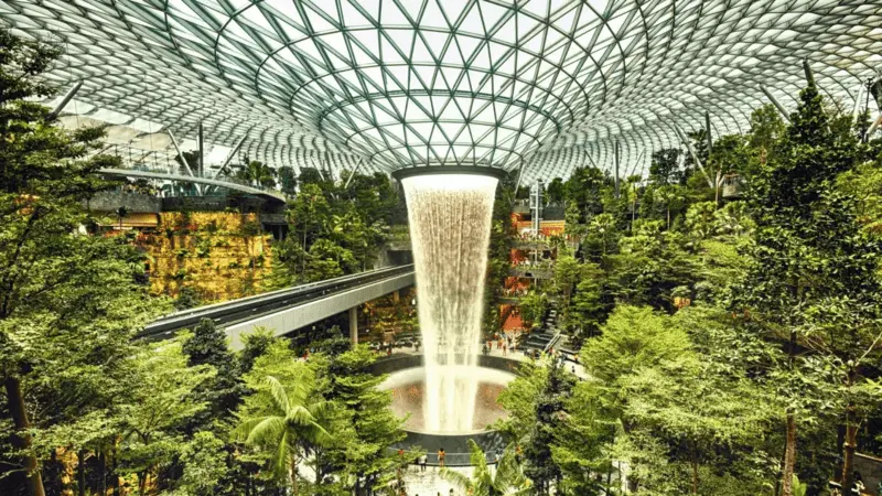 Biophilic Design