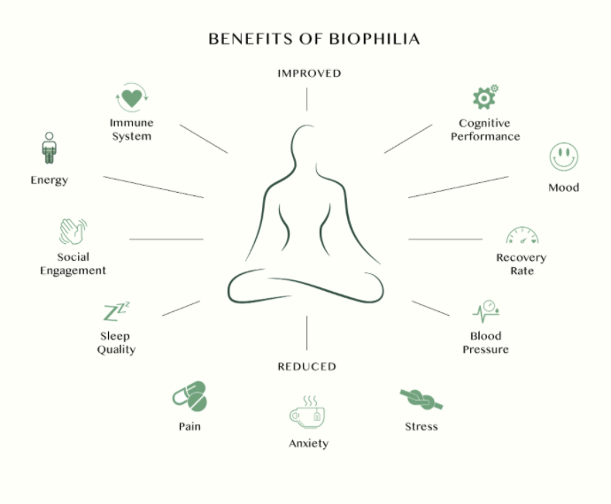 benefits of biophilia