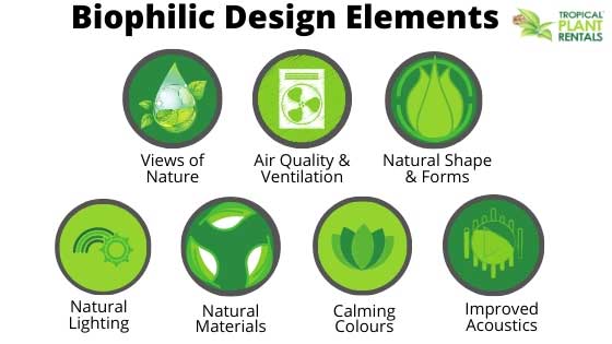 biophilia design elements