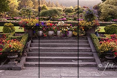 rule of thirds and leading lines